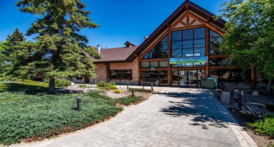 25054 South Pine Lake Road, Rural Red Deer County, Alberta T0M 1R0, ,Land,For Sale,South Pine Lake,A2287785