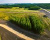 #2 - 423003 Range Road 14, Rural Ponoka County, Alberta T0C 2J0, ,Land,For Sale,Range Road 14,A2287863
