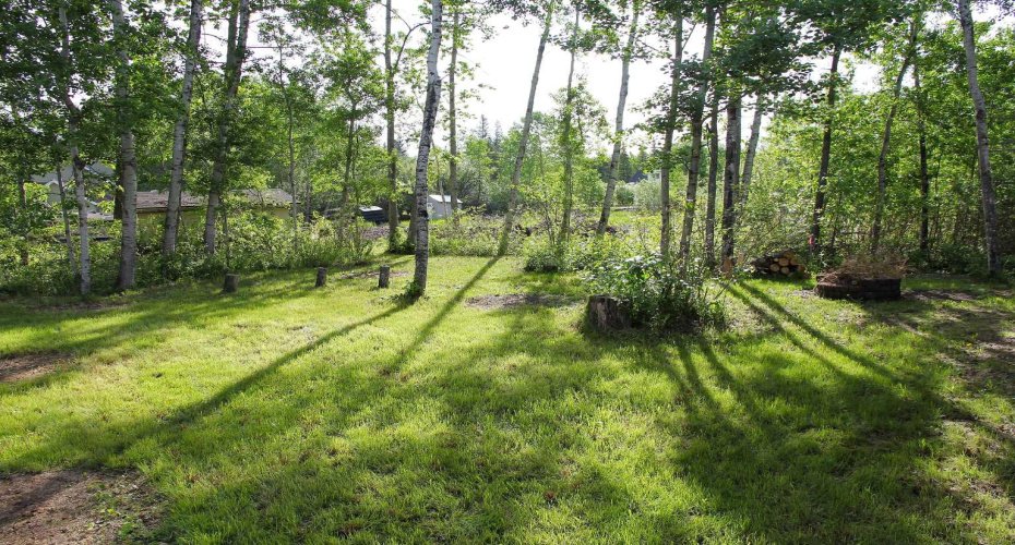 1028 Birch Place, Turtle Lake, Saskatchewan S0M 1J0, 4 Bedrooms Bedrooms, ,3 BathroomsBathrooms,Residential,For Sale,Birch,A2287867
