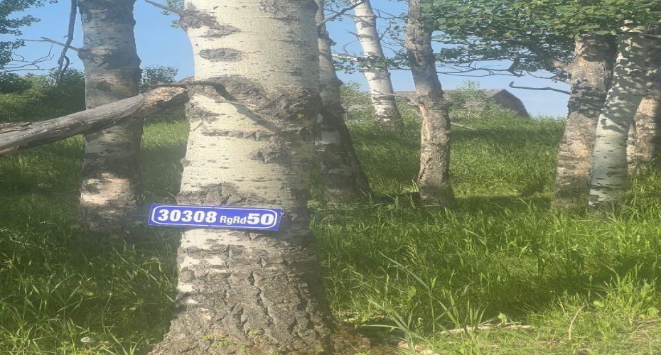 30308 RR50, Rural Mountain View County, Alberta T0M0R0, ,Land,For Sale,30308 RR50,A2288255