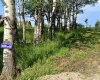30308 RR50, Rural Mountain View County, Alberta T0M0R0, ,Land,For Sale,30308 RR50,A2288255