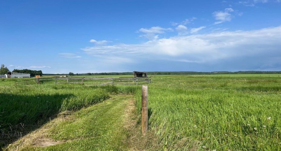 30308 RR50, Rural Mountain View County, Alberta T0M0R0, ,Land,For Sale,30308 RR50,A2288255