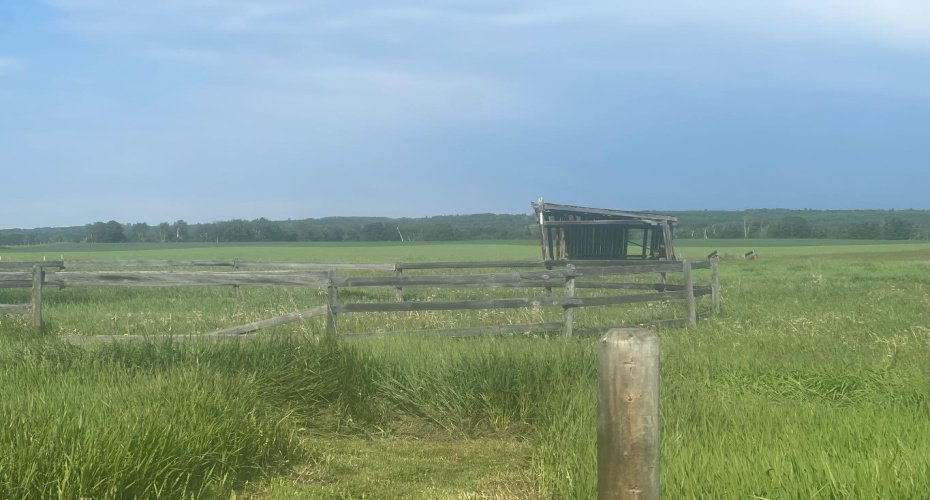 30308 RR50, Rural Mountain View County, Alberta T0M0R0, ,Land,For Sale,30308 RR50,A2288255