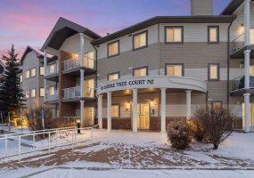 92 Saddletree Court, Calgary, Alberta T3J 0K9, 1 Bedroom Bedrooms, ,1 BathroomBathrooms,Residential,For Sale,Saddletree,A2288330