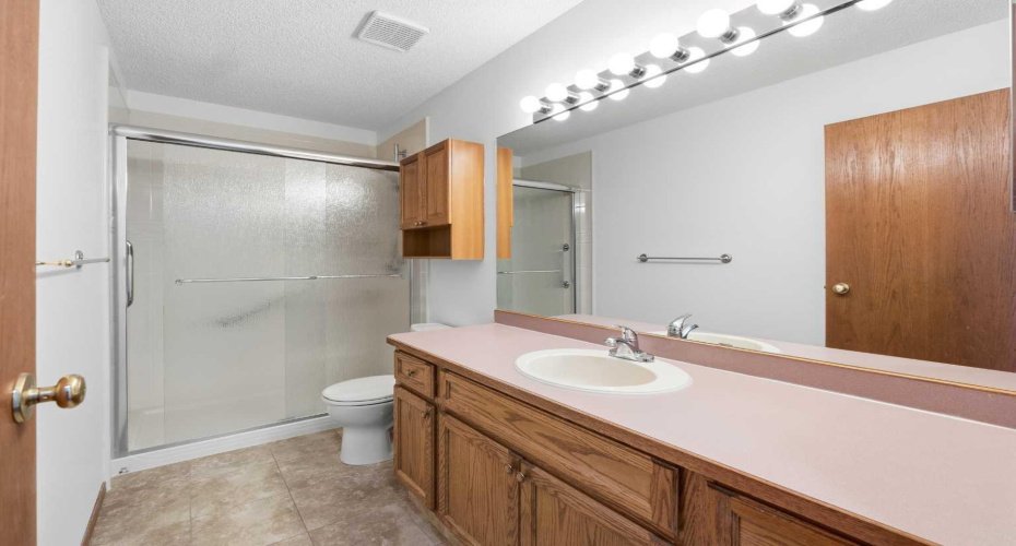Main bath, New walk-in shower