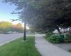 Beautiful Street