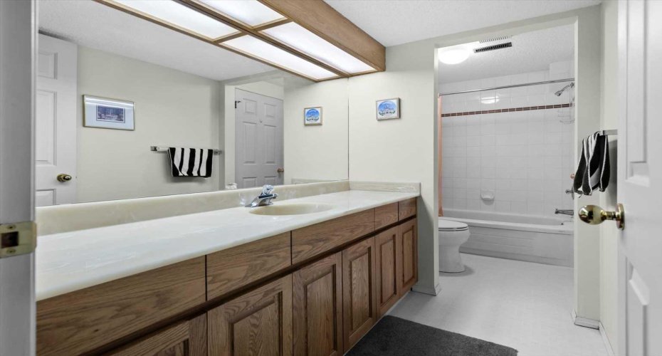 Basement Bathroom