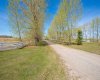 31144 Range Road 20, Rural Mountain View County, Alberta T0M 0W0, 4 Bedrooms Bedrooms, ,4 BathroomsBathrooms,Agri-business,For Sale,Range Road 20,A2286213
