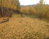 368191 184 Avenue, Rural Foothills County, Alberta T0L 1K0, 3 Bedrooms Bedrooms, ,4 BathroomsBathrooms,Residential,For Sale,184,A2288608
