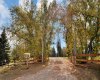 36214 Range Road 250, Rural Red Deer County, Alberta T0M1R0, 3 Bedrooms Bedrooms, ,2 BathroomsBathrooms,Residential,For Sale,Range Road 250,A2289155