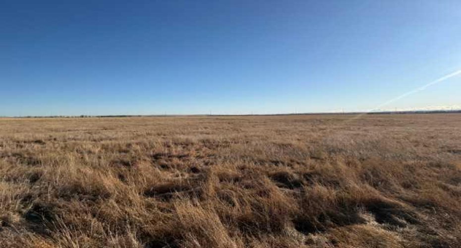 On Township Road 224, Rural Rocky View County, Alberta T1X 1Y5, ,Land,For Sale,Township Road 224,A2289540