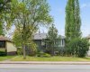 50'x120' mature lot