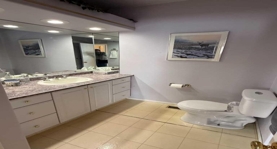 4606 50 Avenue, Vermilion, Alberta T9X 1R5, 4 Bedrooms Bedrooms, ,3 BathroomsBathrooms,Residential,For Sale,50,A2289205