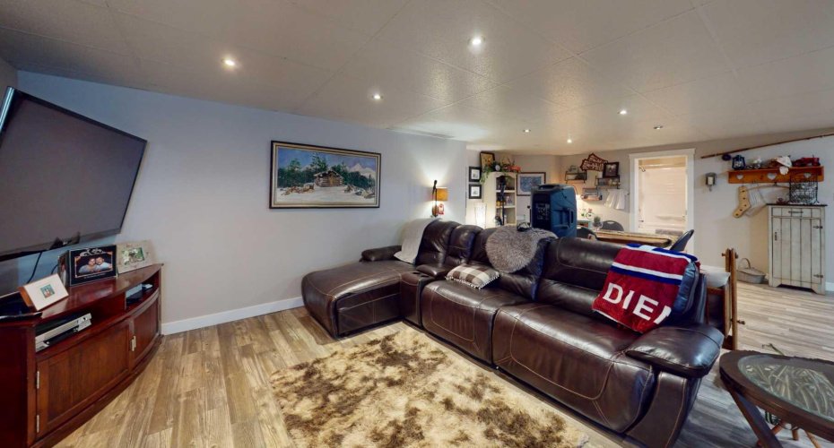 Basement TV area