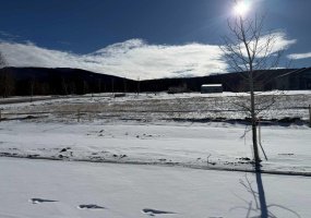 405 LILY Avenue, Nordegg, Alberta T0M 2H0, ,Land,For Sale,LILY,A2289631
