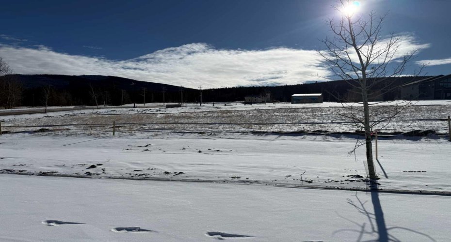 405 LILY Avenue, Nordegg, Alberta T0M 2H0, ,Land,For Sale,LILY,A2289631