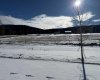 405 LILY Avenue, Nordegg, Alberta T0M 2H0, ,Land,For Sale,LILY,A2289631