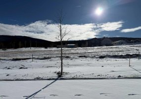 413 LILY Avenue, Nordegg, Alberta T0M 2H0, ,Land,For Sale,LILY,A2289639