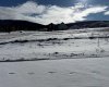 421 LILY Avenue, Nordegg, Alberta T0M 2H0, ,Land,For Sale,LILY,A2289643