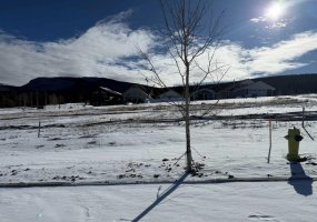 429 LILY Avenue, Nordegg, Alberta T0M 2H0, ,Land,For Sale,LILY,A2289647