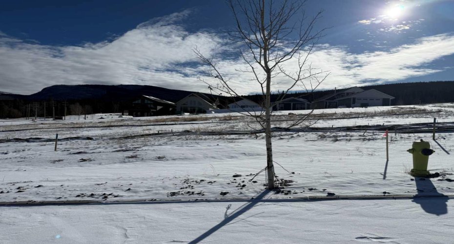 429 LILY Avenue, Nordegg, Alberta T0M 2H0, ,Land,For Sale,LILY,A2289647