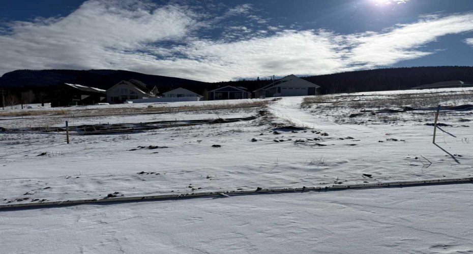 433 LILY Avenue, Nordegg, Alberta T0M 2H0, ,Land,For Sale,LILY,A2289650