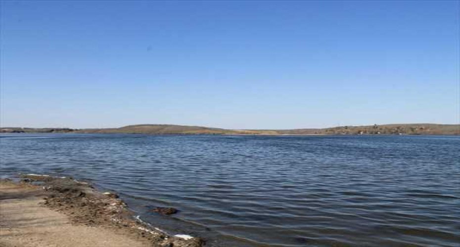 25054 South Pine Lake Road, Rural Red Deer County, Alberta T0M 1R0, ,Land,For Sale,South Pine Lake,A2289709