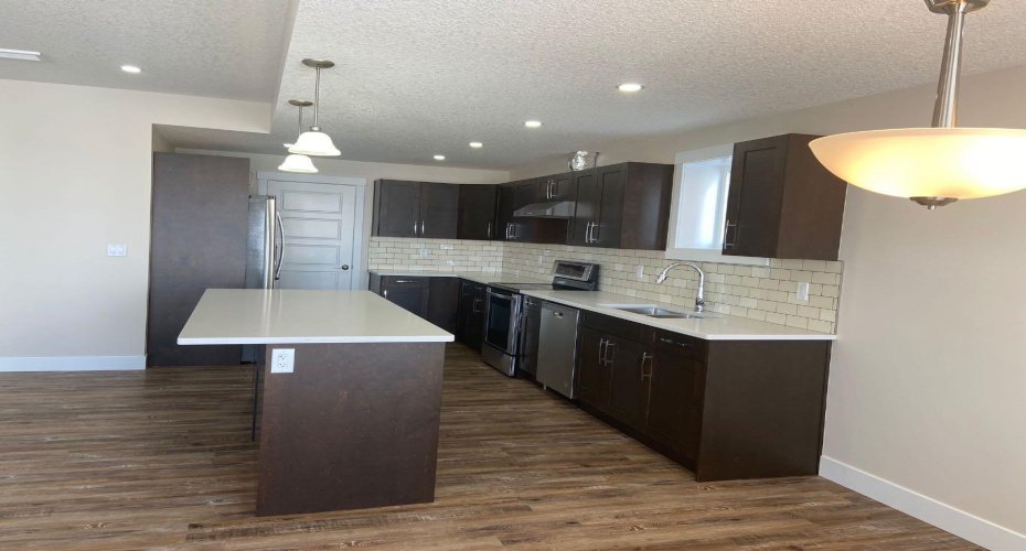 Basement Suite