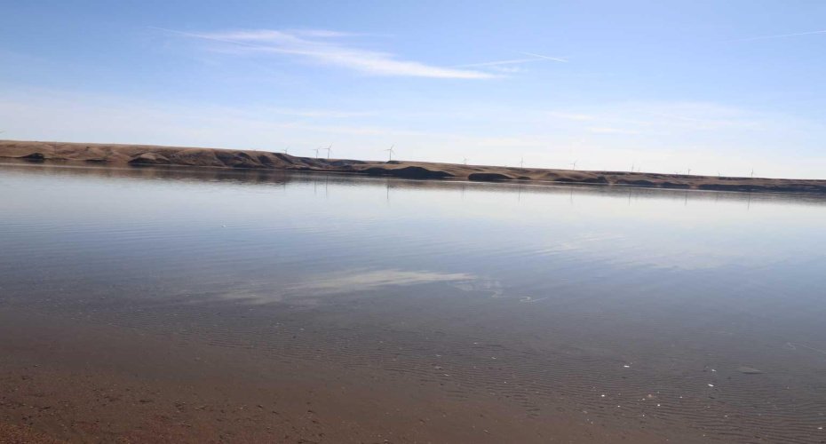 Lake Shore