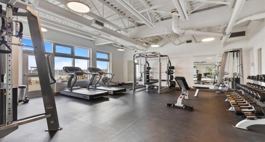 Staying in shape at the gym...