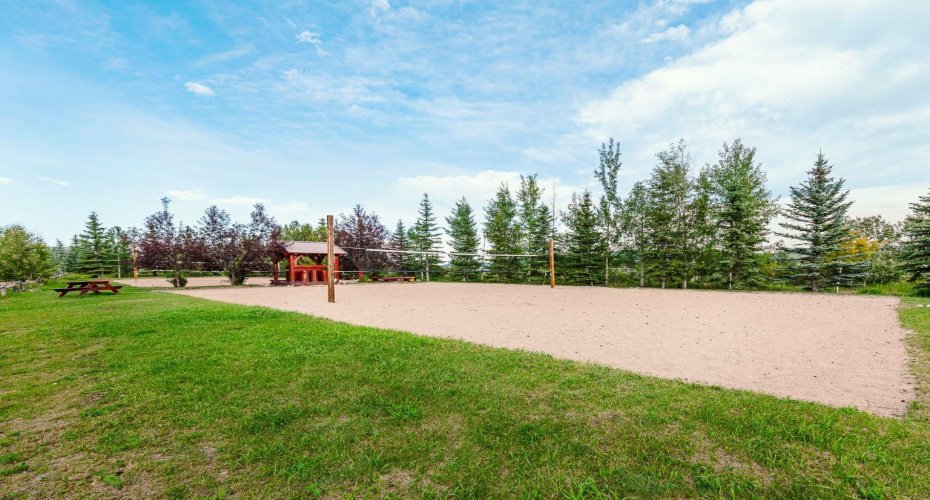 Picking up a game of volleyball, yes please!