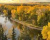 Fall View