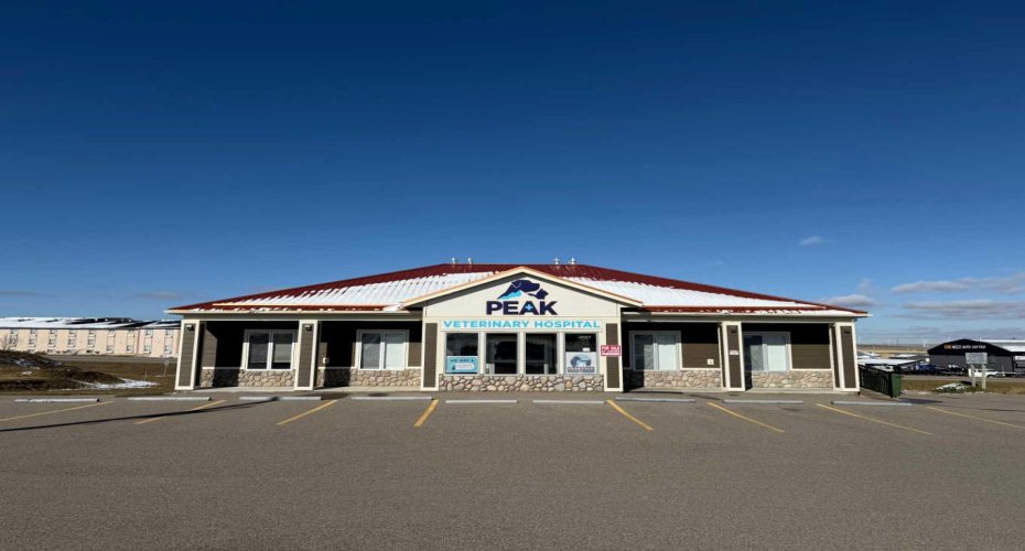 1340 Veteran's Street, Pincher Creek, Alberta T0K 1W0, ,Commercial,For Sale,Veteran's,A2268950