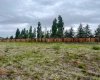60017 Township Road 704A Township, Rural Grande Prairie No. 1, County of, Alberta T8V 5N3, ,Land,For Sale,Township Road 704A,A2289899