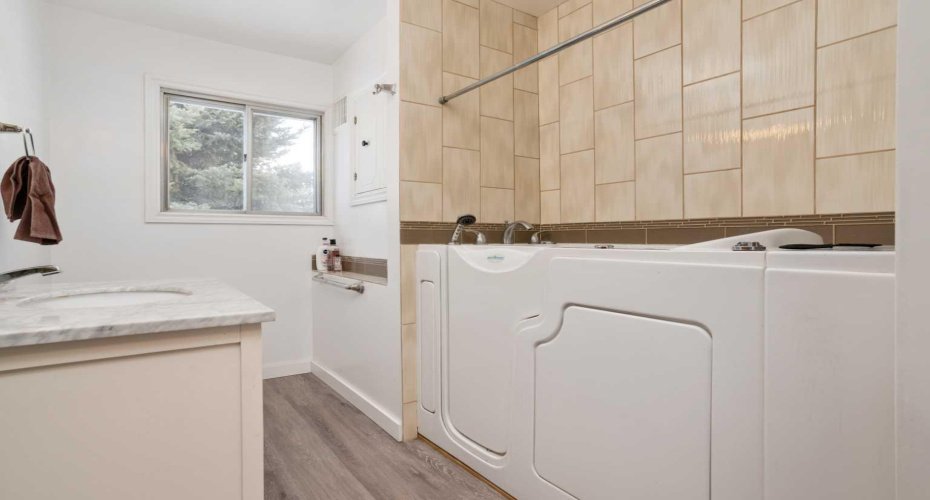 Main floor bathroom