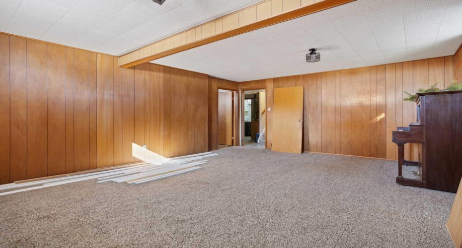 Basement Family Room