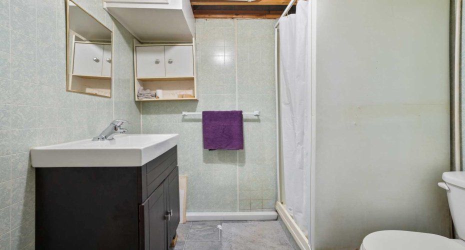 Basement Bathroom