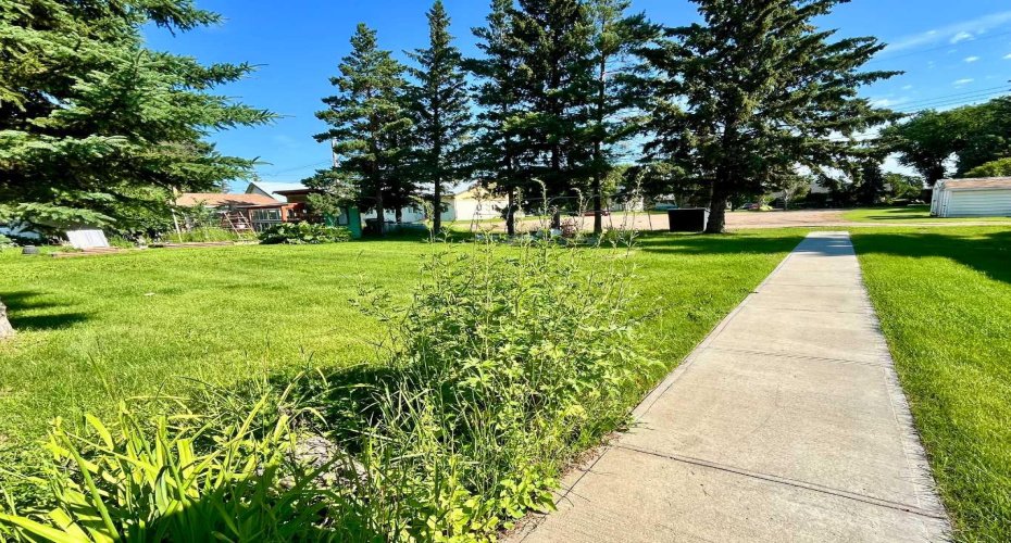 5316 55 Avenue, Viking, Alberta T0B 4N0, 4 Bedrooms Bedrooms, ,2 BathroomsBathrooms,Residential,For Sale,55,A2289903
