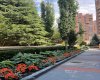 Grounds