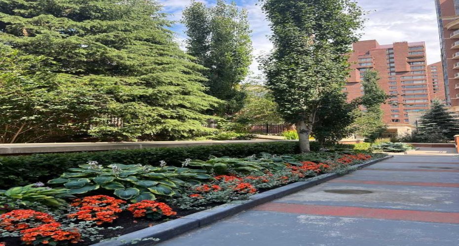 Grounds