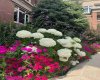 Grounds