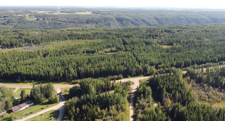 703a Township, Rural Grande Prairie No. 1, County of, Alberta T8W 5K1, ,Land,For Sale,703a,A2289971