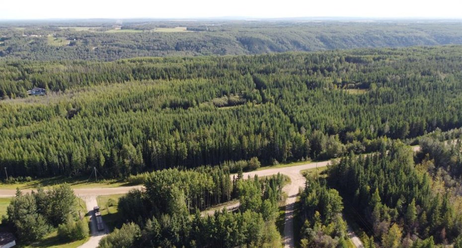 703a Township, Rural Grande Prairie No. 1, County of, Alberta T8W 5K1, ,Land,For Sale,703a,A2289971