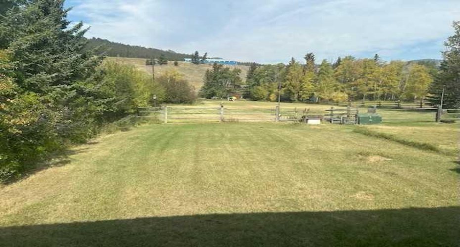 6001 16 Avenue, Coleman, Alberta T0K 0M0, 3 Bedrooms Bedrooms, ,1 BathroomBathrooms,Residential,For Sale,16,A2290348