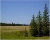 Range Road 55, Rural Mountain View County, Alberta T0G 1X0, ,Land,For Sale,Range Road 55,A2290384