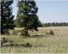 Range Road 55, Rural Mountain View County, Alberta T0G 1X0, ,Land,For Sale,Range Road 55,A2290384