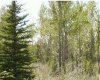 Range Road 55, Rural Mountain View County, Alberta T0G 1X0, ,Land,For Sale,Range Road 55,A2290384