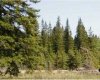 Range Road 55, Rural Mountain View County, Alberta T0G 1X0, ,Land,For Sale,Range Road 55,A2290384