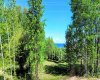 Block 1, Lot 12 Southshore Drive, Widewater, Alberta T0G 2M0, ,Land,For Sale,Southshore,A2289657