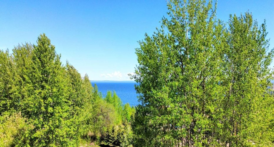 Block 1, Lot 12 Southshore Drive, Widewater, Alberta T0G 2M0, ,Land,For Sale,Southshore,A2289657